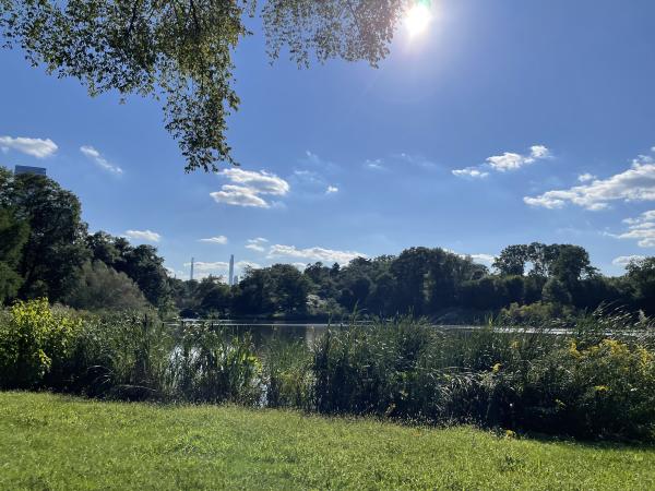Northern Central Park