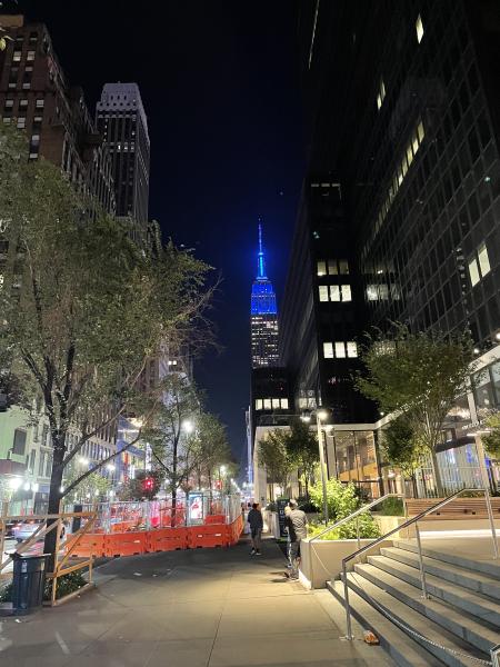 Empire State Night