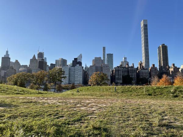 Roosevelt Island