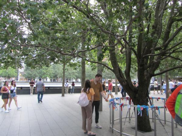 Survivor Tree